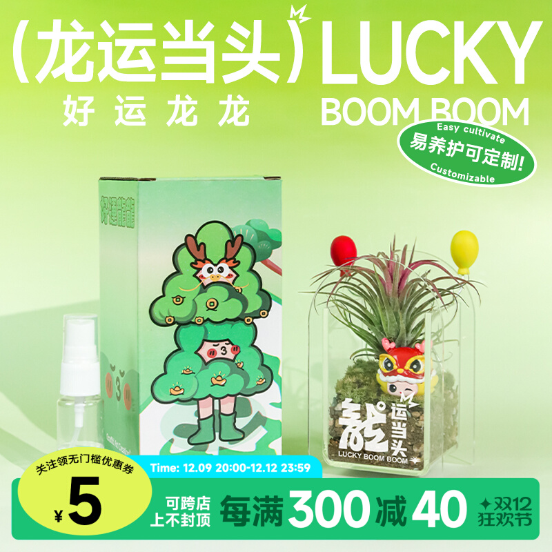 失控绿氧 空气凤梨桌面绿植摆件苔藓微景观办公室盆栽礼物送人