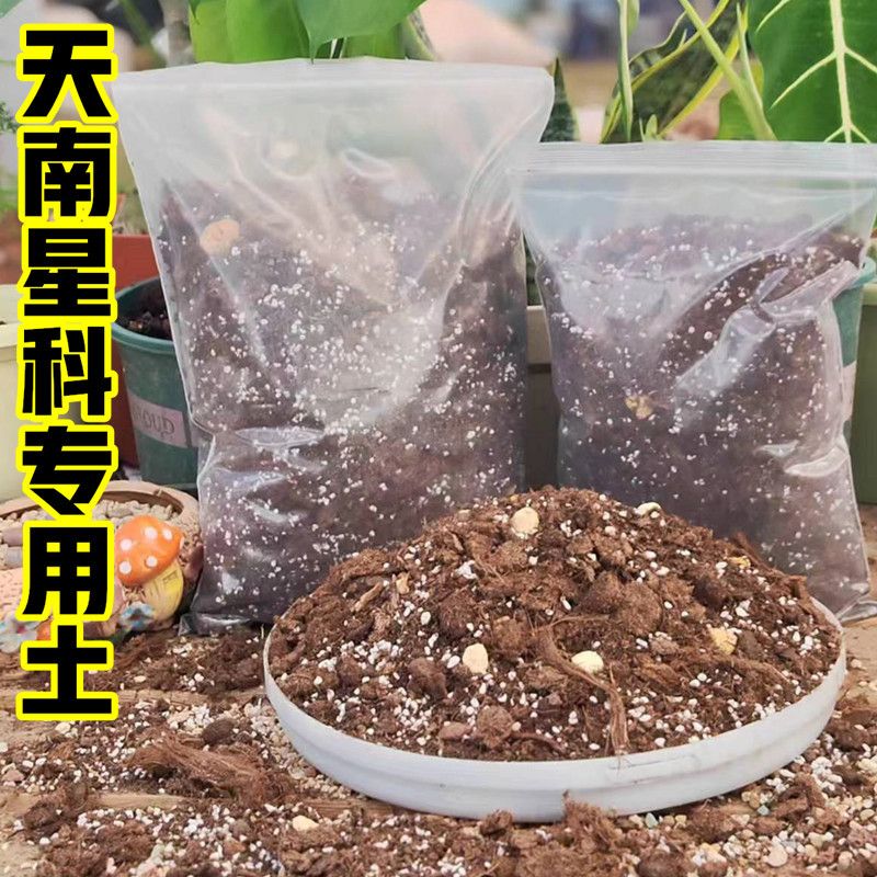 营养土种植土蔓绿秋海棠龟背竹土龙烛专用绒花天南星鳞