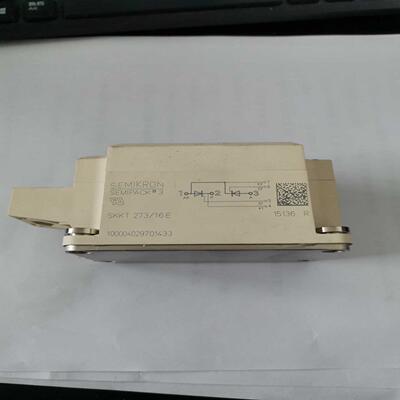 西门康SEMIKRON可控硅模块SKKT273/16E SK~议价