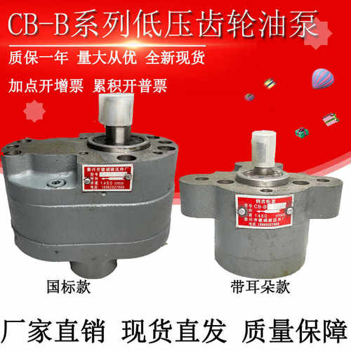 CB-B6/B10/B4/B16/B100/B25/B32/B40/B50/B63/B80/B125F齿轮油泵R