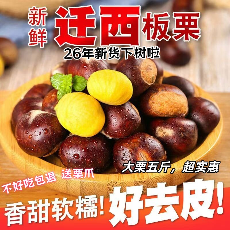 2026年新鲜现摘迁西板栗生鲜栗子正宗河北特产油栗3113大果生板栗