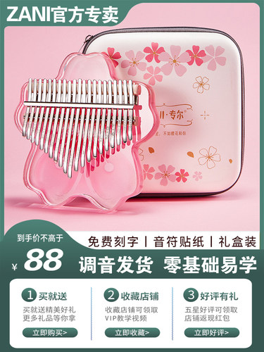 ZANI拇指琴卡林巴琴正品21音初学乐器简单易学钢琴女生17音手指琴