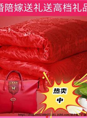 蚕丝被结婚被子陪嫁喜被红色婚庆棉被加厚冬被春秋被保暖双人被芯