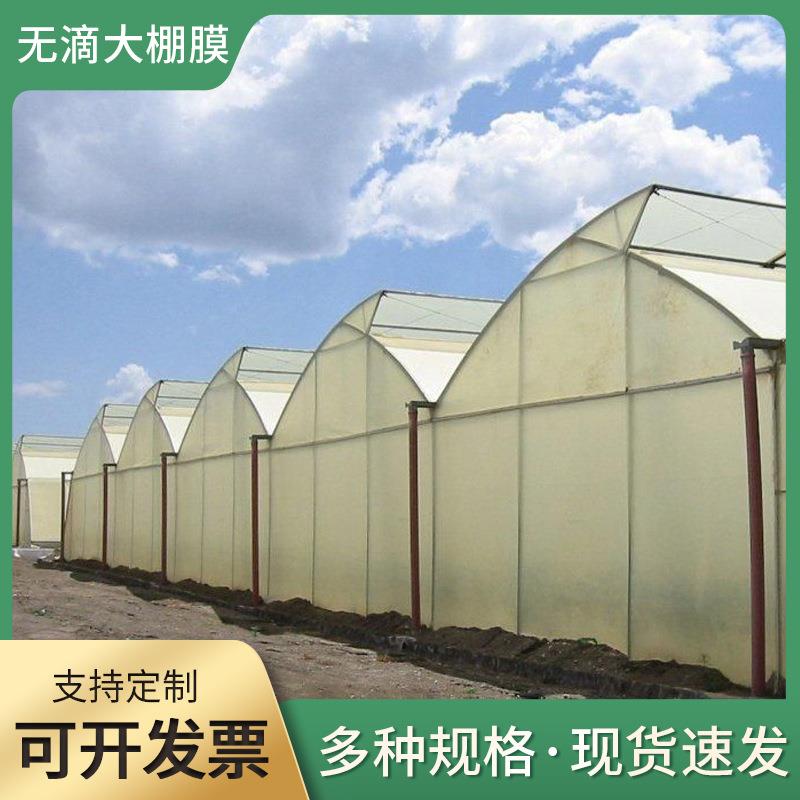 透明塑料长寿无滴双防膜农业PE透光西瓜葡萄草莓大消雾棚膜