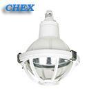 L70B1Z L100 S防水防尘防腐灯 FAD