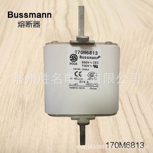 170M8610170M8650保险丝管