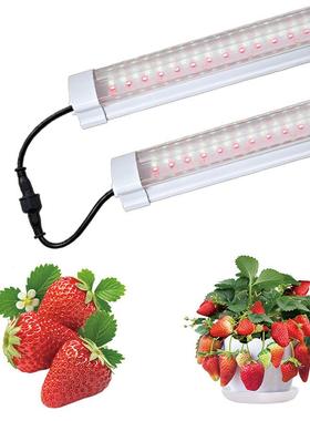 LED植生长物灯全光谱光管花卉草莓蔬菜植植物绿生长补NYU光灯管日