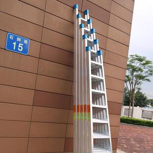 A113带子加宽加厚梯 阁楼梯单边梯一字梯直梯单侧家用钩下楼可YG