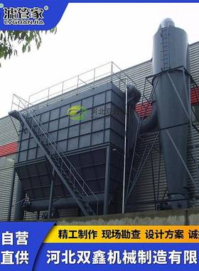 铸烟造厂车间布袋除尘器VFW电炉除器冶炼气粉尘过滤袋布尘除尘器