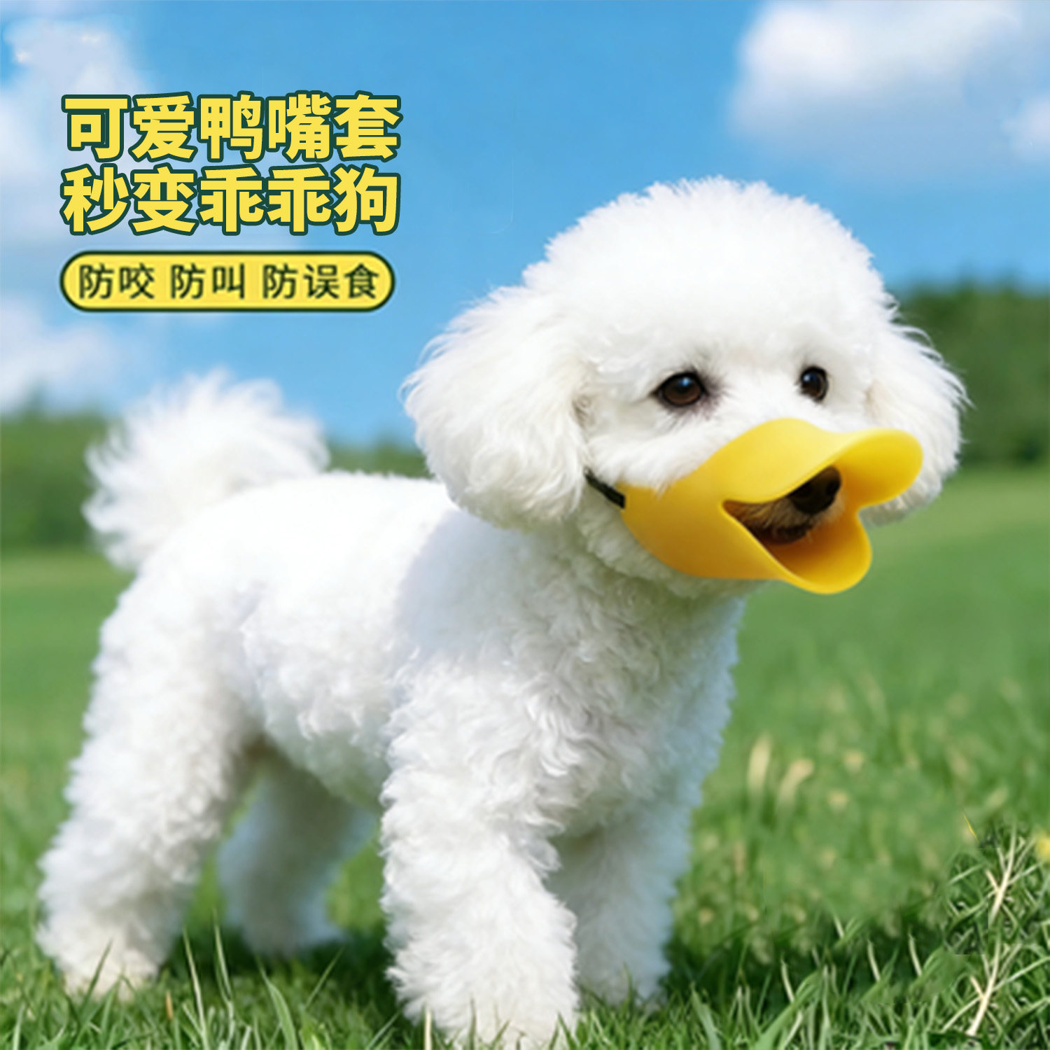 狗狗嘴套嘴罩防乱吃防咬人防叫小狗口罩防误食小型犬泰迪博美宠物