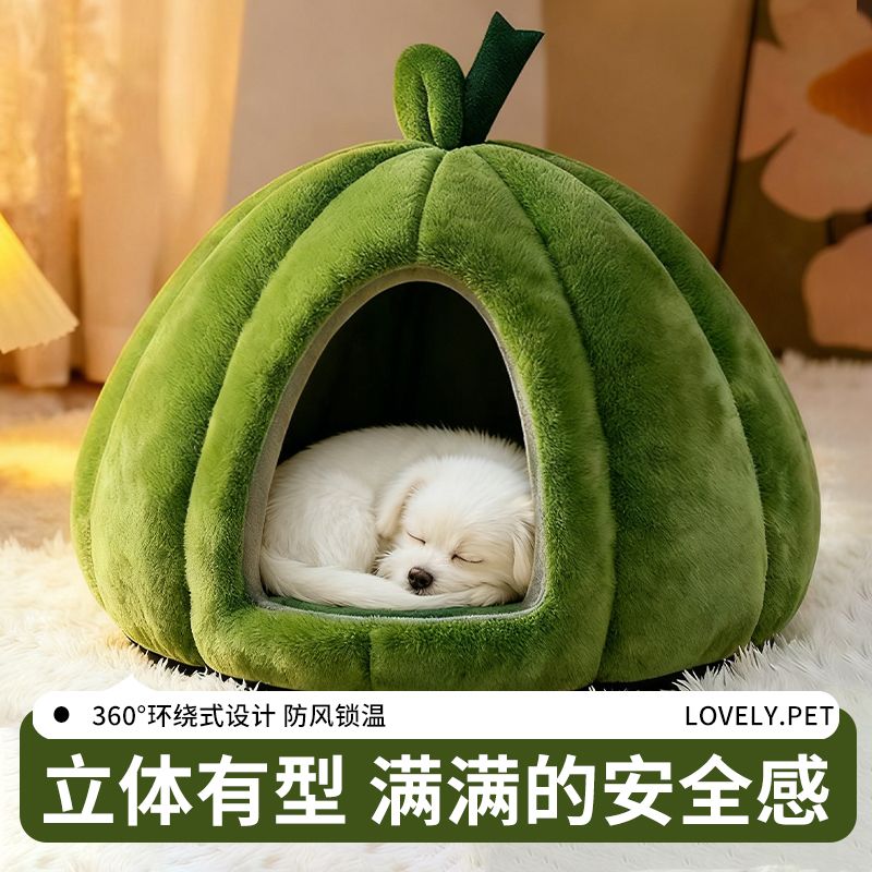 【养宠必备】冬日里的温暖猫房