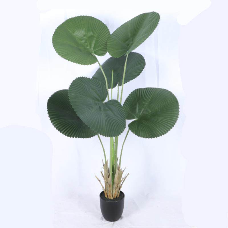北欧风仿真圆叶轴榈叶假绿植盆栽大扇子形叶子蒲葵造景拍摄装饰摆