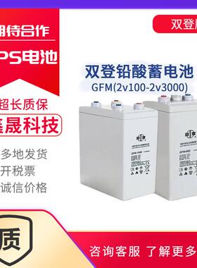 双登2V系列蓄电池600AH200AH300AH免维护直流屏GFM蓄电池双登