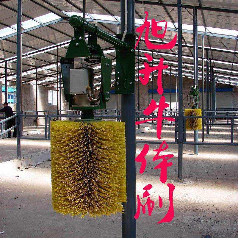 全自动摆动式牛体刷牛体按摩刷刺激奶牛血液循环增加产奶量毛刷