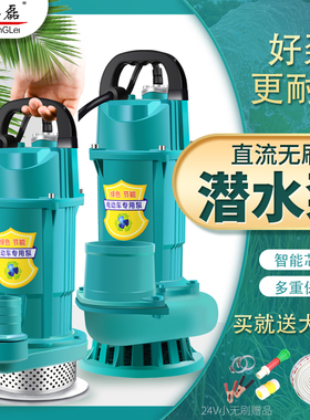 48V60V无刷直流水泵大功率户外农田浇灌电动车水井抽水泵潜水泵