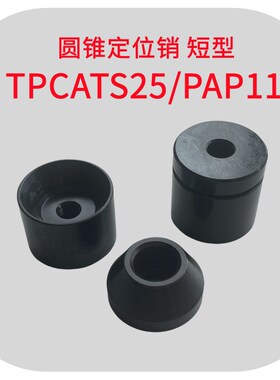 PAP11-D25内安装型圆锥定位销短型TPCATS25导向定位块Y-KFC02-D25