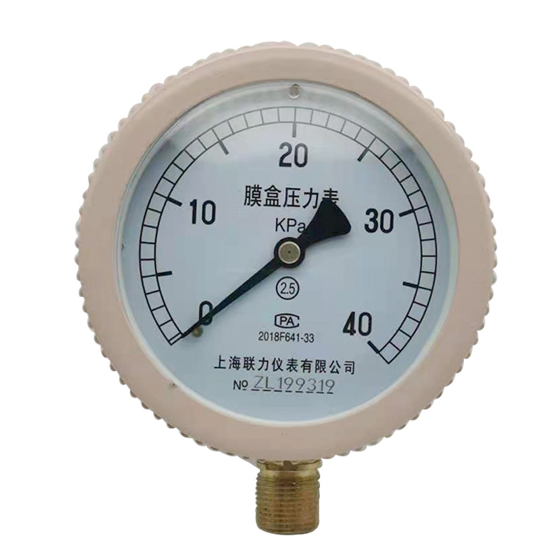 YE-100 径向膜盒压力表 规格齐全 专用 微压表 千帕表0KP