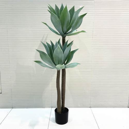 CJQ仿真植聚宝莲翡翠莲树热带绿落植盆景橱窗内装饰室地绿摆件多