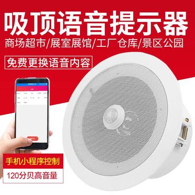 红外人体感应语音提示器防盗报警器商店地铁火车店门吸顶大喇叭