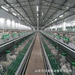 2欧式 兔笼双层兔双层4笼养位兔笼种兔笼育成繁殖一体NGL笼兔用型