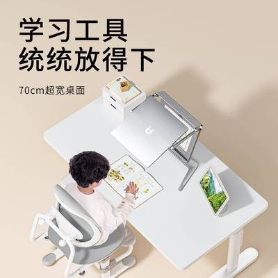 青节字儿学习桌子书桌大白学生家用可童升降课XXI桌青年写桌椅