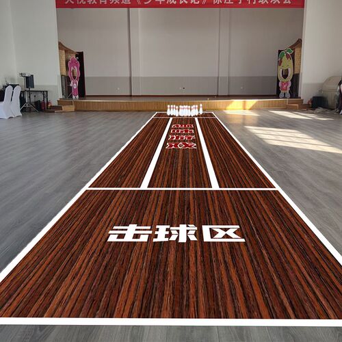 保龄球赛道e布儿童大号成人趣味实心球游戏运动户外室内团建道具