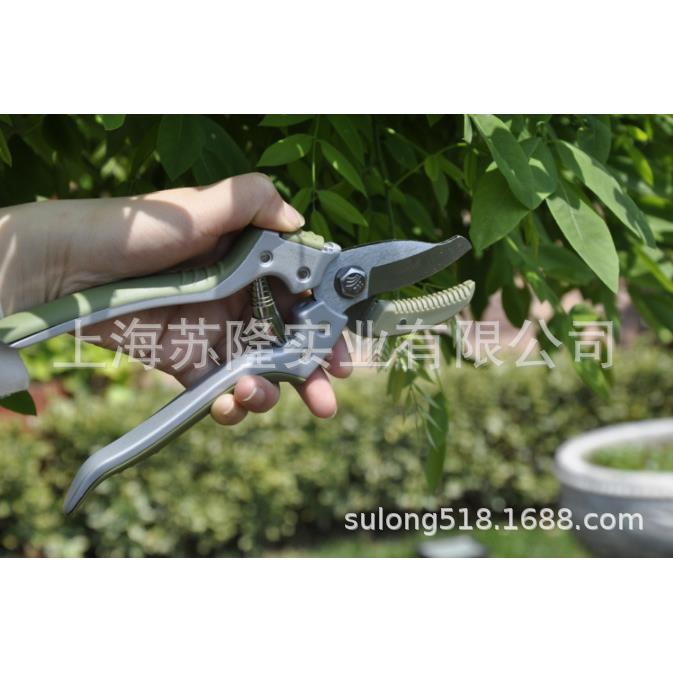 果寸枯枝1031剪园林剪工具花园花枝干树枝园艺修枝老枝硬枝