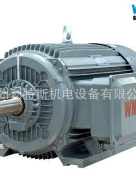 现货销EYO售皖M南机WNYE-225-4三相电机4级转速7SKWB电卧式