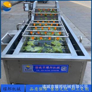 连MQV清续式果蔬气泡果洗机萄葡水蔬菜清洗设备鼓泡全自动洗菜机