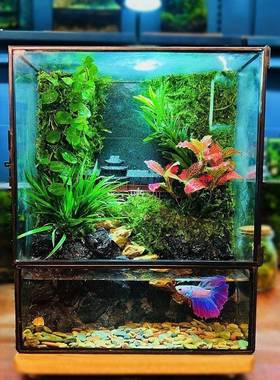 缸2025年款创意造景雨新林缸生态养流水鱼微Y8i3fmQB景观桌面摆件