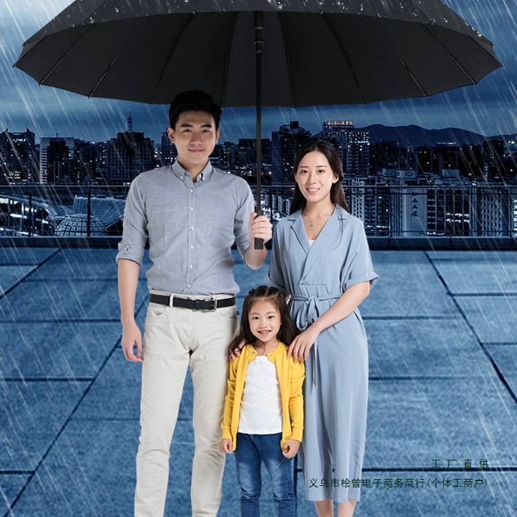 16骨双层自动长柄雨伞加大加厚加固抗暴风雨晴雨两用男三双人定