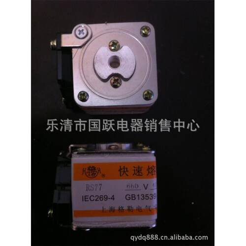 RS4RST1特种熔断器特熔8RSG-5S77RSRSGBNARSG3RS-G1RSG-A3