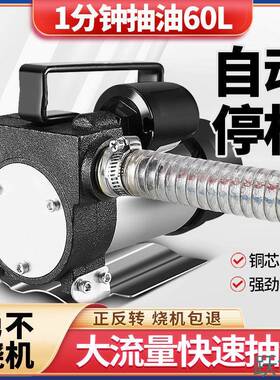 电动停抽油泵正反抽油12V自动器124220自动启加油泵柴油泵2加转油