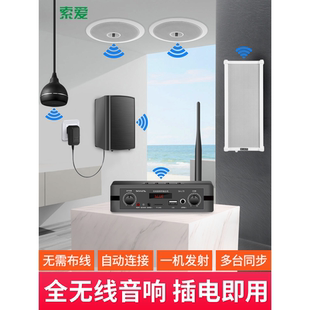 索爱SA L70无线蓝牙吸顶音响壁挂壁喇叭家用天花环绕悬挂吊顶吊球