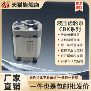 征全液压齿轮泵油泵总成CBK 小型迷你微型 F2.13456举升机动力单元