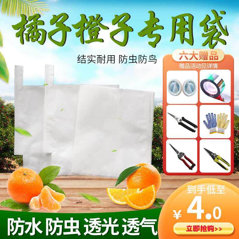 橘子套袋橙子保护袋不知火柑橘春见丑橘爱媛水果袋枇杷防冻保护袋
