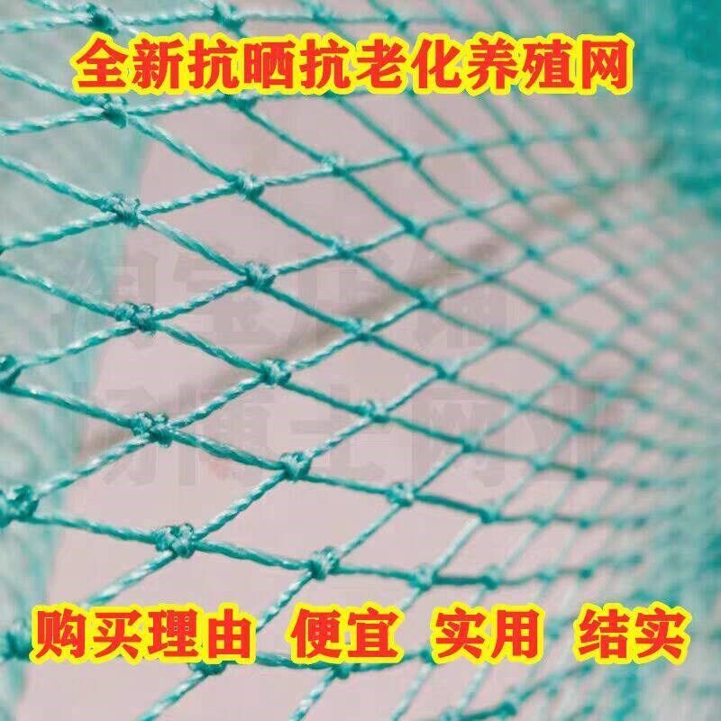 速发养殖网 爬藤 攀爬 围栏爬藤网聚乙烯隔离网 防飞网