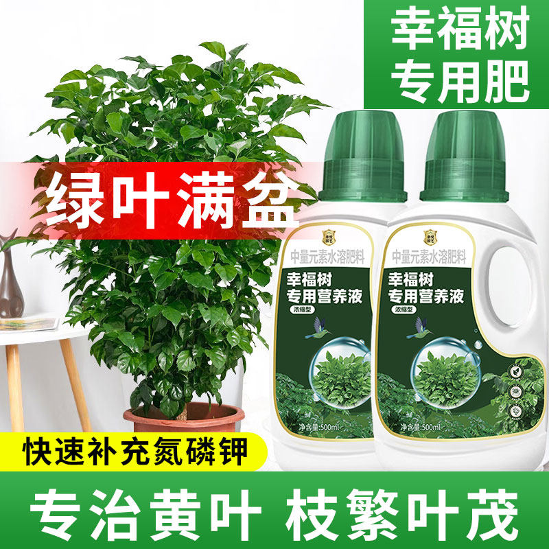 速发幸福树营液养肥料急救治黄斑落叶黑叶防掉叶干枯花肥盆栽
