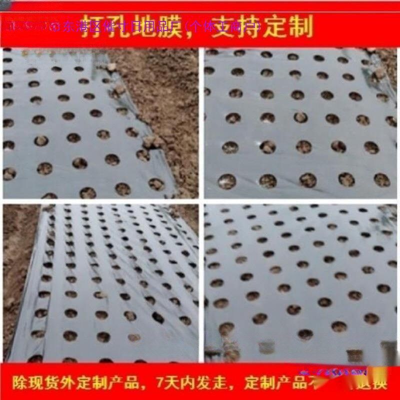 速发打孔地膜农用地植防菜薄玉米地开孔带孔地膜黑膜银黑种膜免打