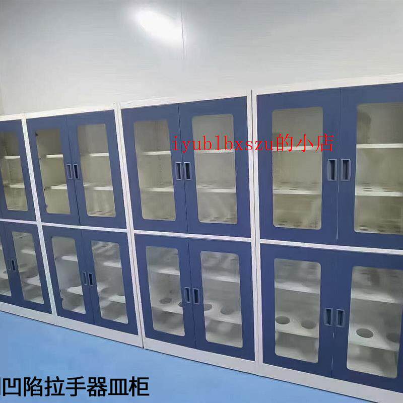 速发实验室试剂柜玻璃器皿柜仪器柜柜PP试剂柜酸碱柜全钢药厂家图片