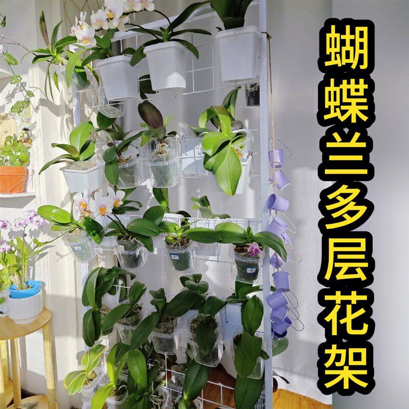 速发花架层架兰花专花架落地式可挂盆挂篮台客厅集中摆放架展示架
