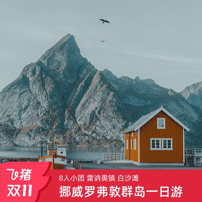 挪威旅游罗弗敦群岛一日游