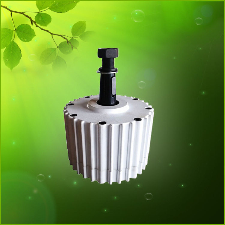 L型永磁无刷发电机2KW48-120V