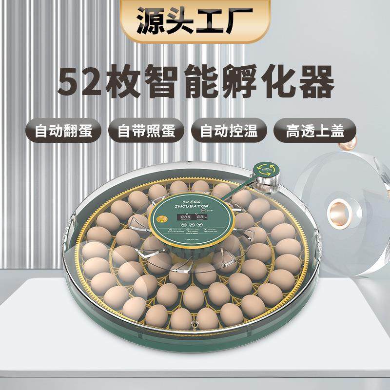 厂家52枚孵化器全自动小型家用鸡蛋孵化温控设备智能孵化机,畜牧/养殖物资,特种养殖设备,淘宝优惠券,粉丝福利购,淘宝优惠卷