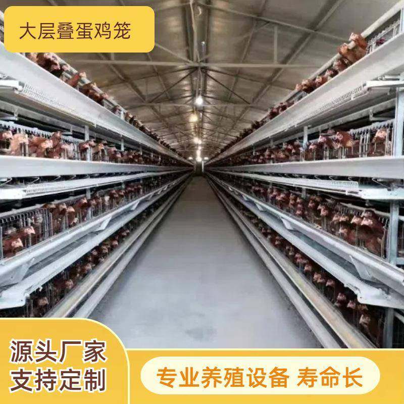 大层叠小层叠蛋鸡笼全自动养殖笼具三层四层热镀锌鸡笼养殖设备,畜牧/养殖物资,特种养殖设备,淘宝优惠券,粉丝福利购,淘宝优惠卷