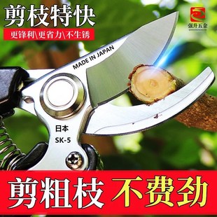 剪 原装 进口sk5强力园艺修枝剪新款 F园林家用省力款 花枝园艺