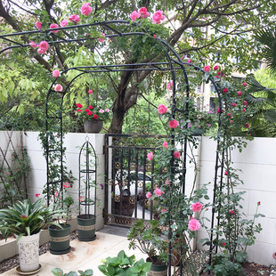 大型拱门花架拱形藤本月季花藤支架D玫瑰蔷薇铁线莲花园庭院攀爬