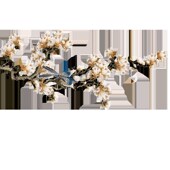 独绣刺绣花d鸟墙布背景客厅沙发卧室无缝壁布玉兰花鸟新中式 壁画