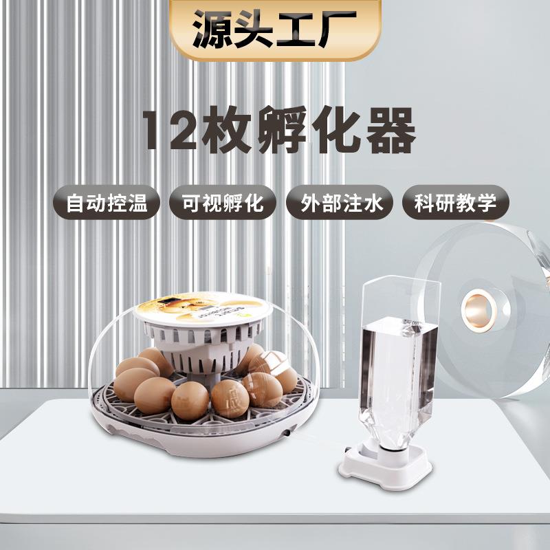 工厂直供12枚鸭鹅鸟类观察鸡蛋孵化器家用科教型孵化机自动翻蛋