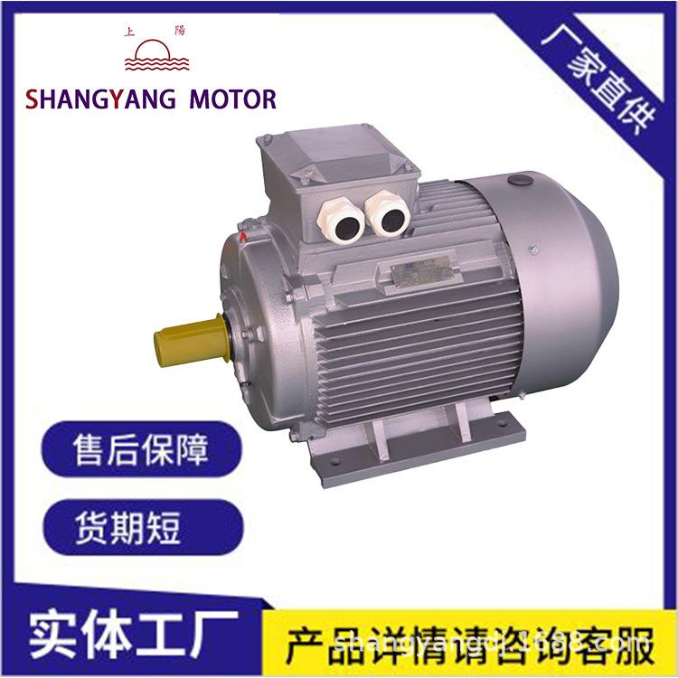 6极铜线满功率YE2电机37w45w55w三相异步电动机75w90w